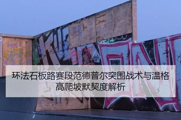 环法石板路赛段范德普尔突围战术与温格高爬坡默契度解析